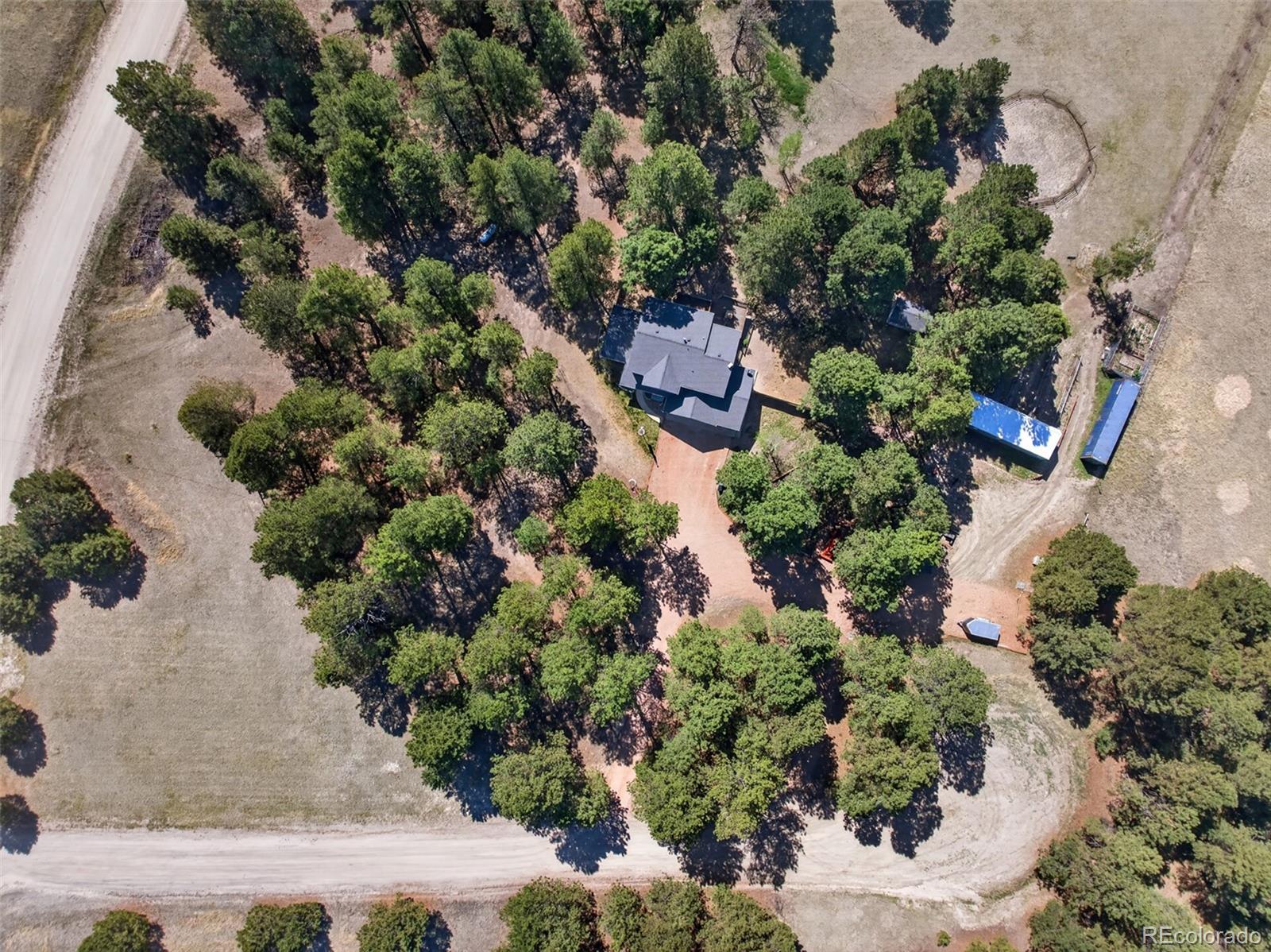 9364 Elkmont Court Peyton CO 80831