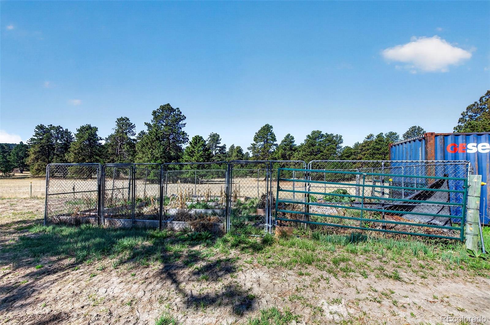 9364 Elkmont Court Peyton CO 80831