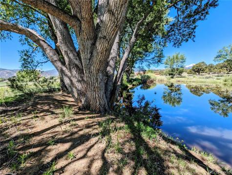 8590 Cameron Meadow Circle Salida CO 81201
