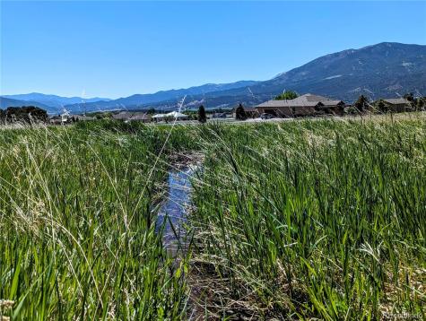 8590 Cameron Meadow Circle Salida CO 81201