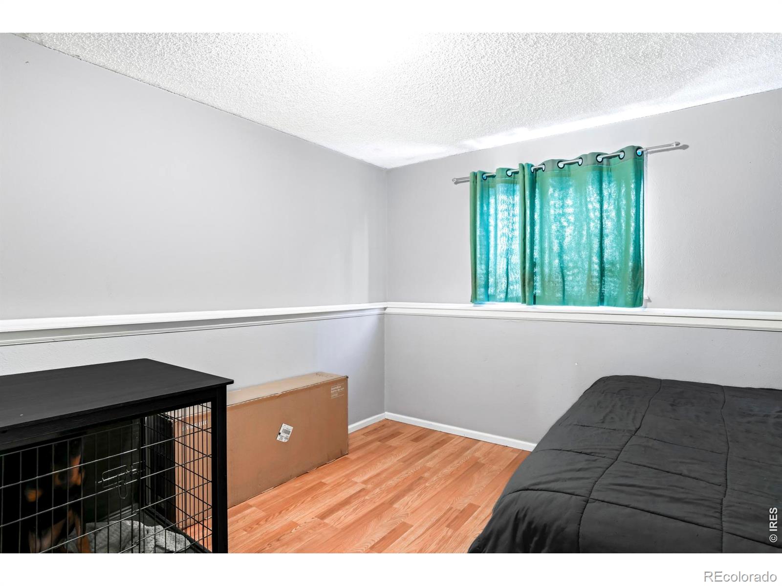 12458 Albion Street Thornton CO 80241