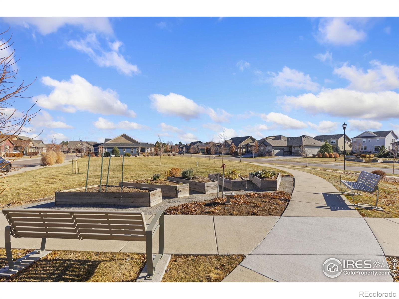 4532 Heatherhill Court Longmont CO 80503