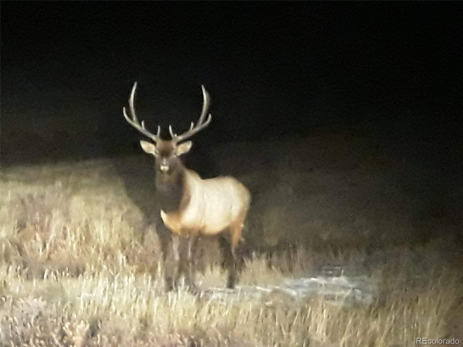 7260 Remington Road Como CO 80432