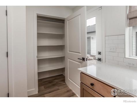945 Trumpet Lane Windsor CO 80550