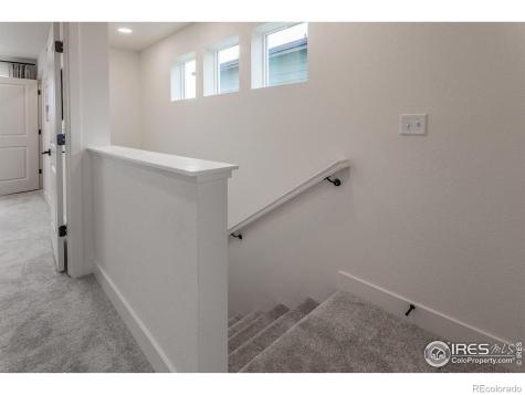 945 Trumpet Lane Windsor CO 80550