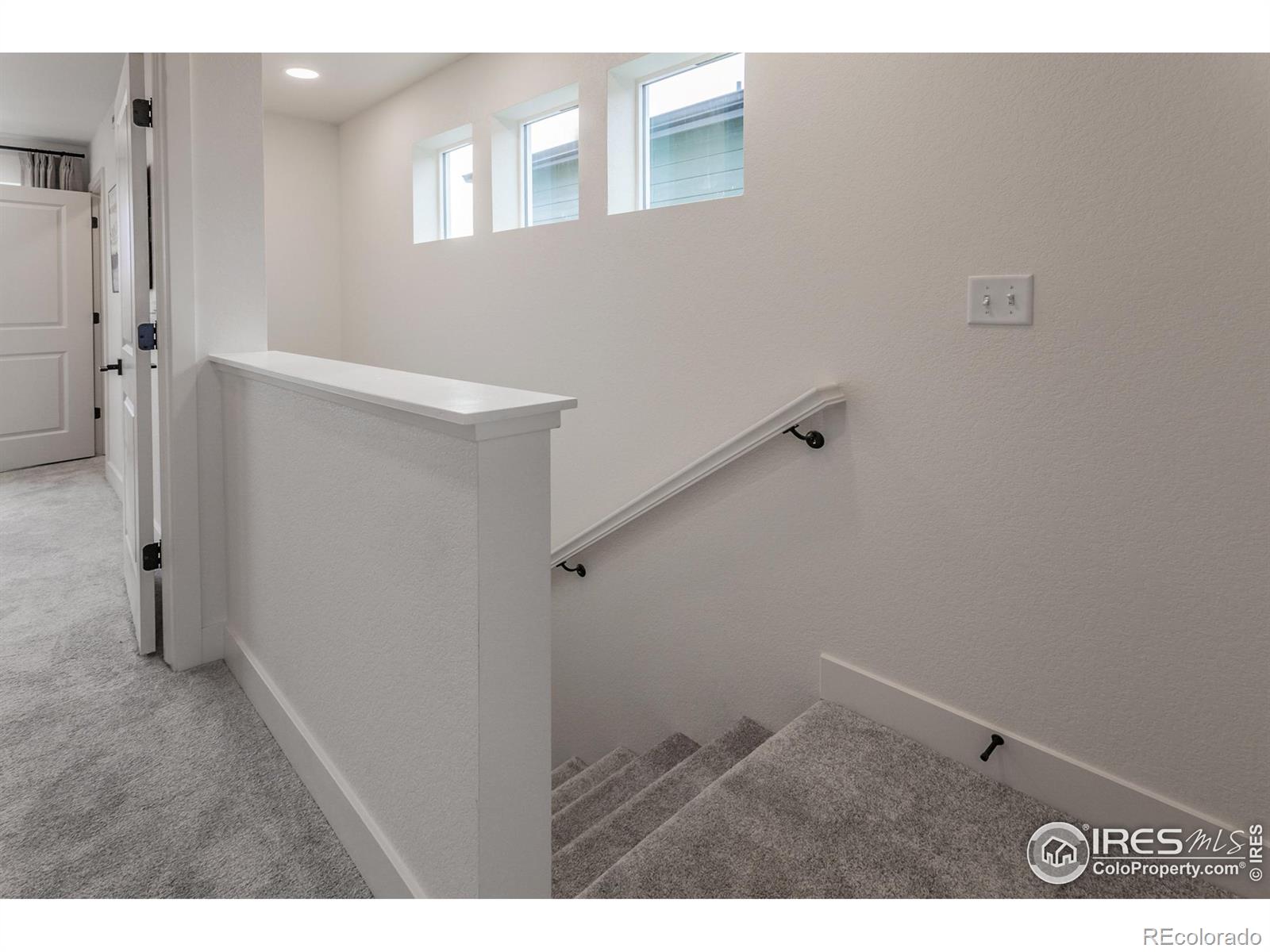 945 Trumpet Lane Windsor CO 80550