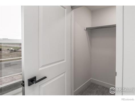 945 Trumpet Lane Windsor CO 80550