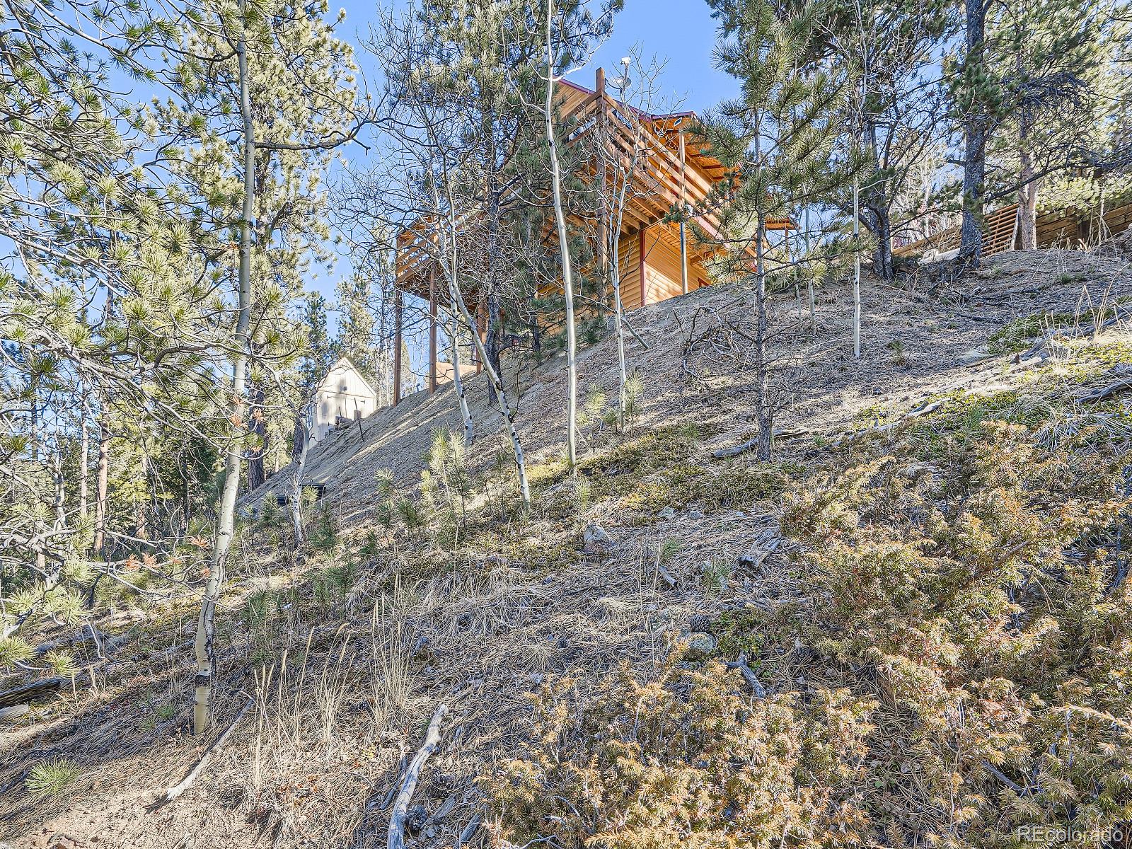 139 Hayes Road Bailey CO 80421