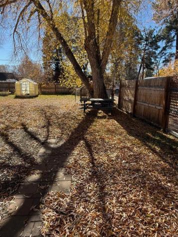 914 Yale Avenue Buena Vista CO 81211