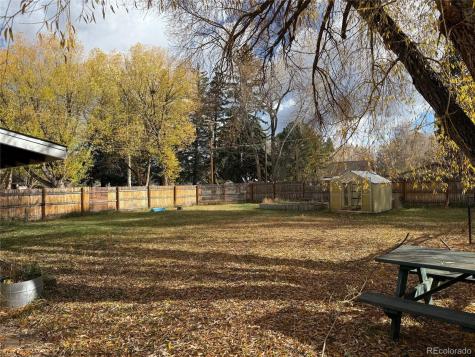 914 Yale Avenue Buena Vista CO 81211