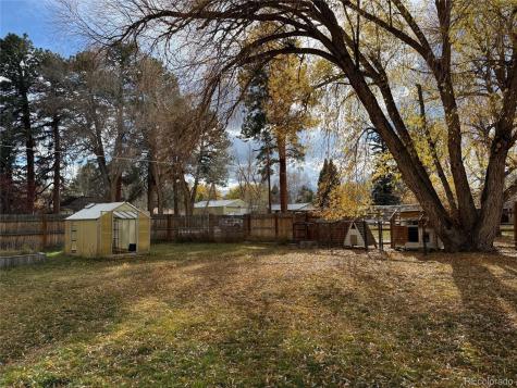 914 Yale Avenue Buena Vista CO 81211