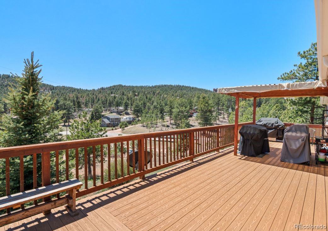 33626 Lutes Road Pine CO 80470