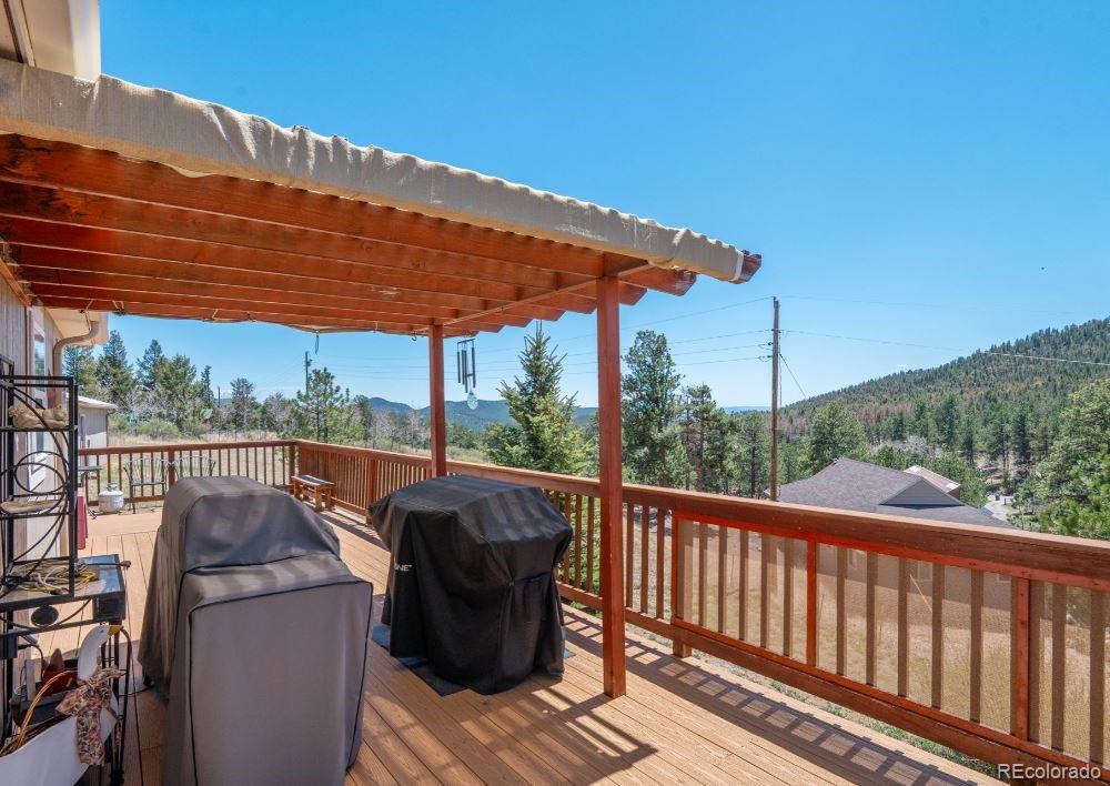 33626 Lutes Road Pine CO 80470