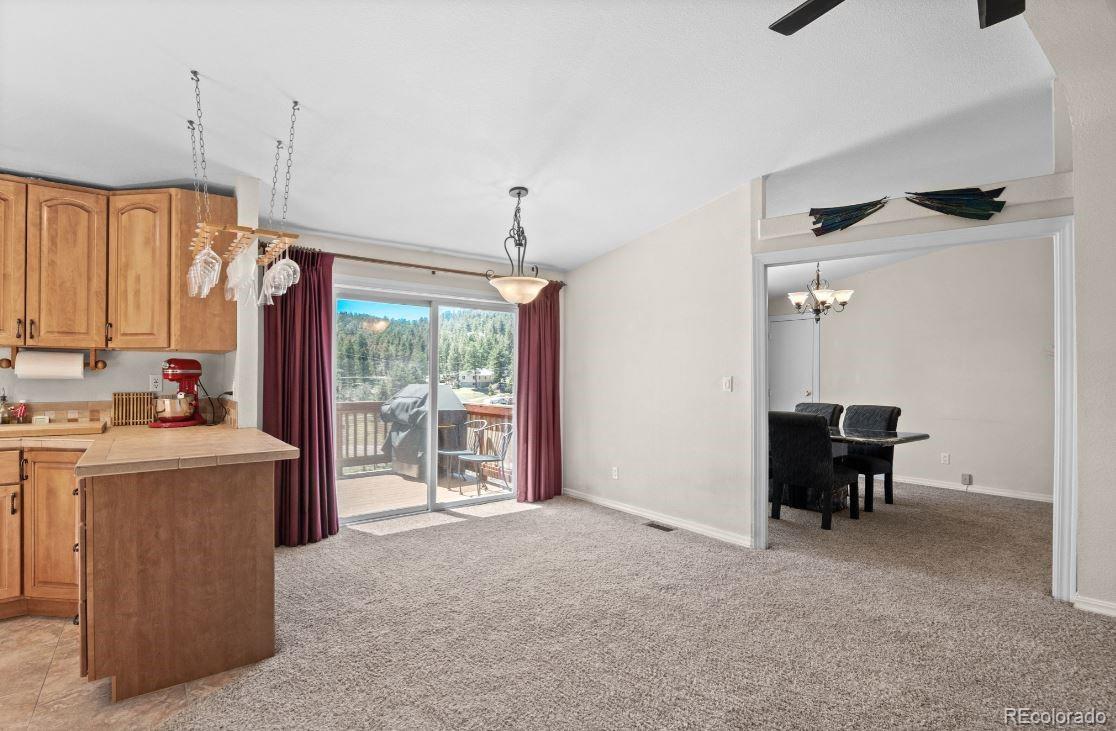 33626 Lutes Road Pine CO 80470