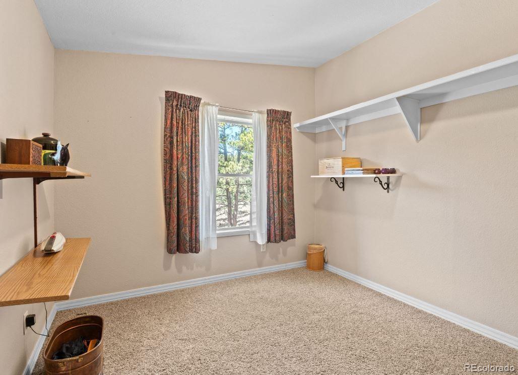 33626 Lutes Road Pine CO 80470