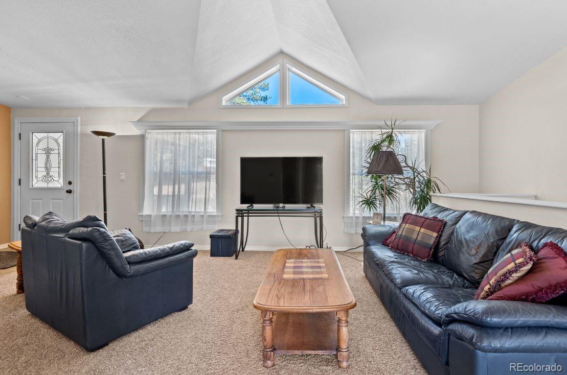 33626 Lutes Road Pine CO 80470