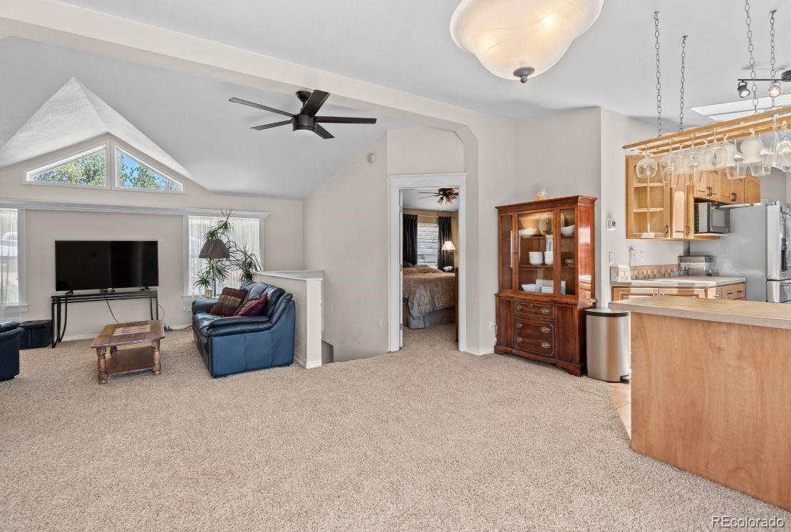 33626 Lutes Road Pine CO 80470