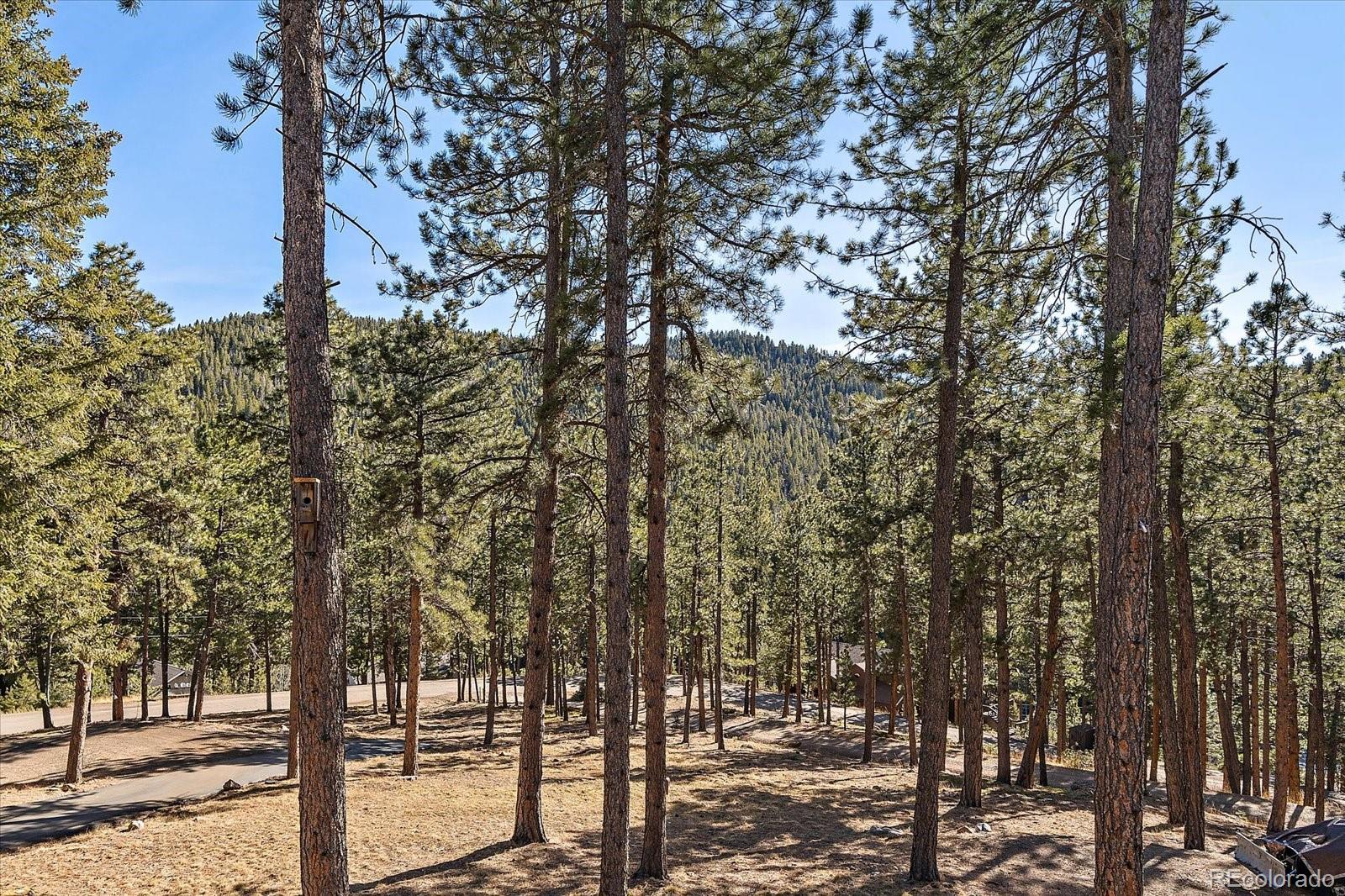 31634 Ponderosa Way Evergreen CO 80439