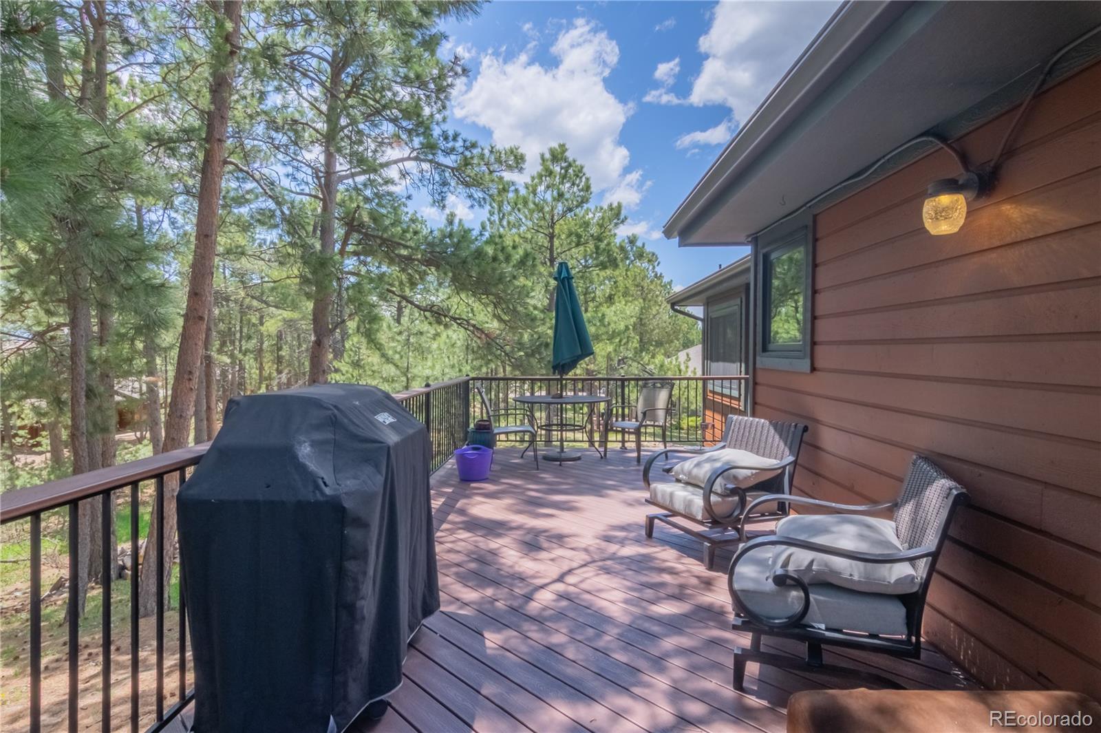115 E Kings Deer Point Monument CO 80132