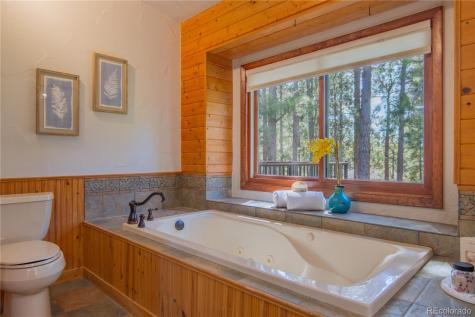 115 E Kings Deer Point Monument CO 80132