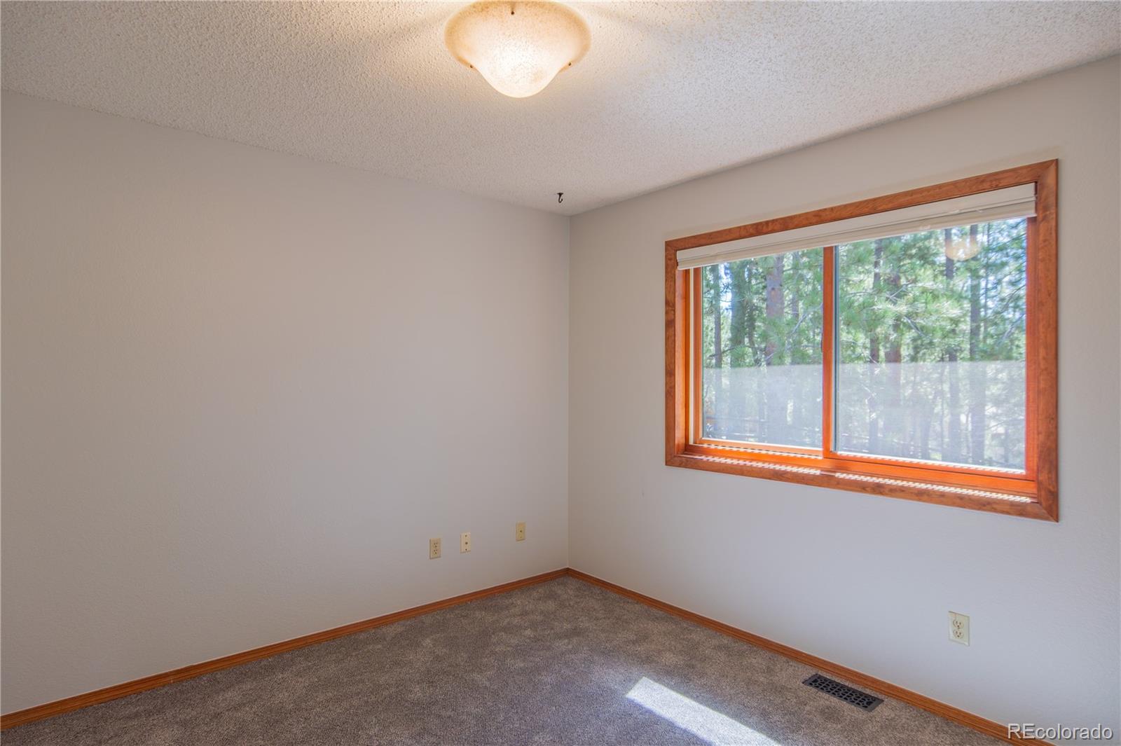 115 E Kings Deer Point Monument CO 80132