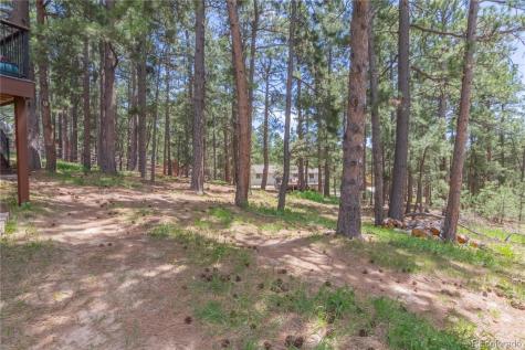 115 E Kings Deer Point Monument CO 80132