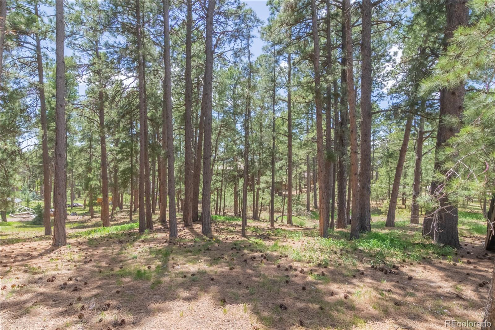 115 E Kings Deer Point Monument CO 80132