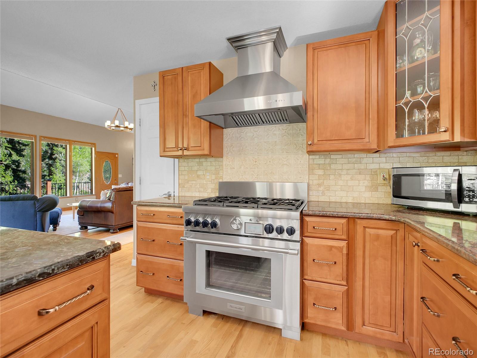 11768 Black Hawk Drive Conifer CO 80433