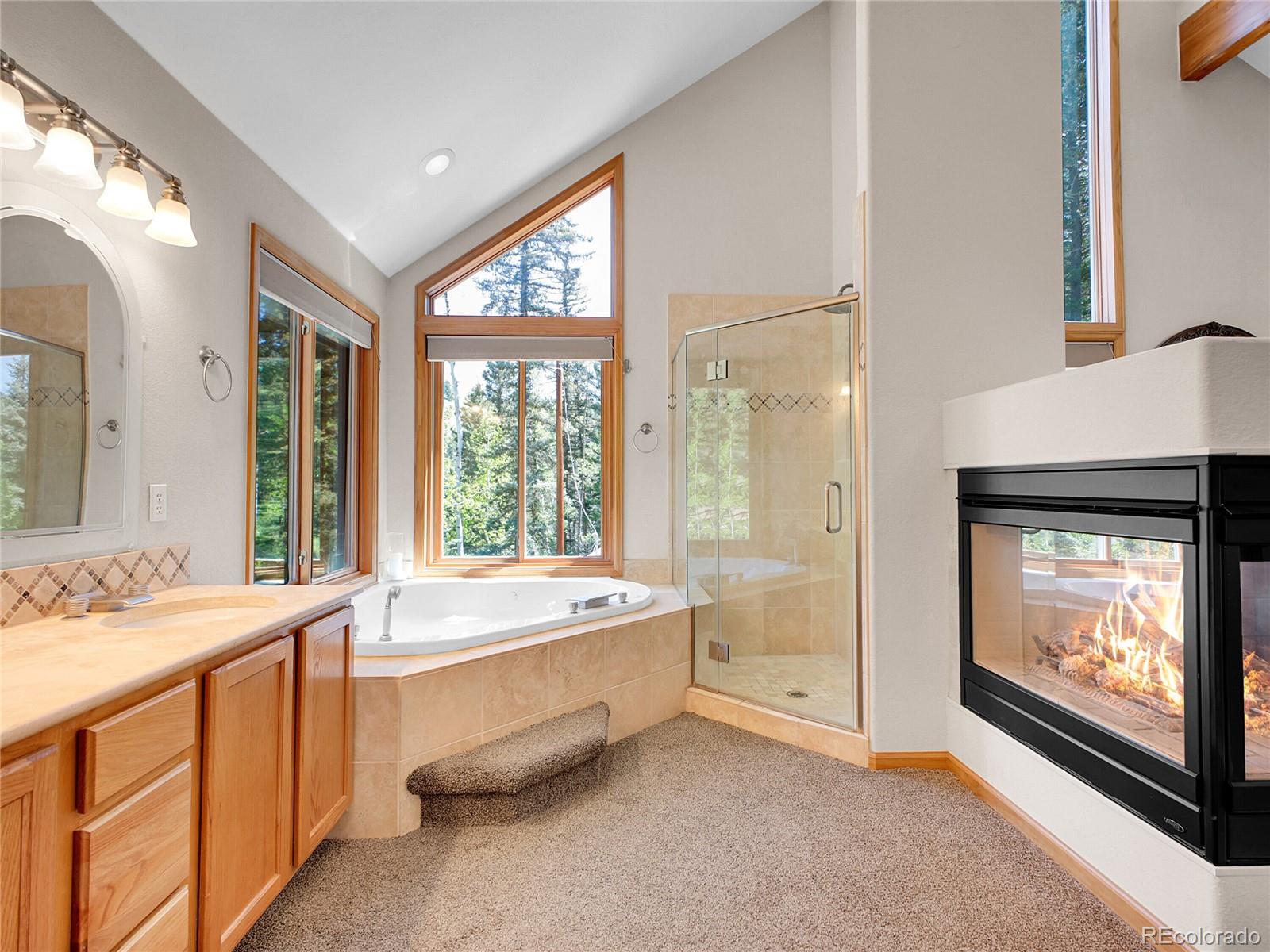 11768 Black Hawk Drive Conifer CO 80433
