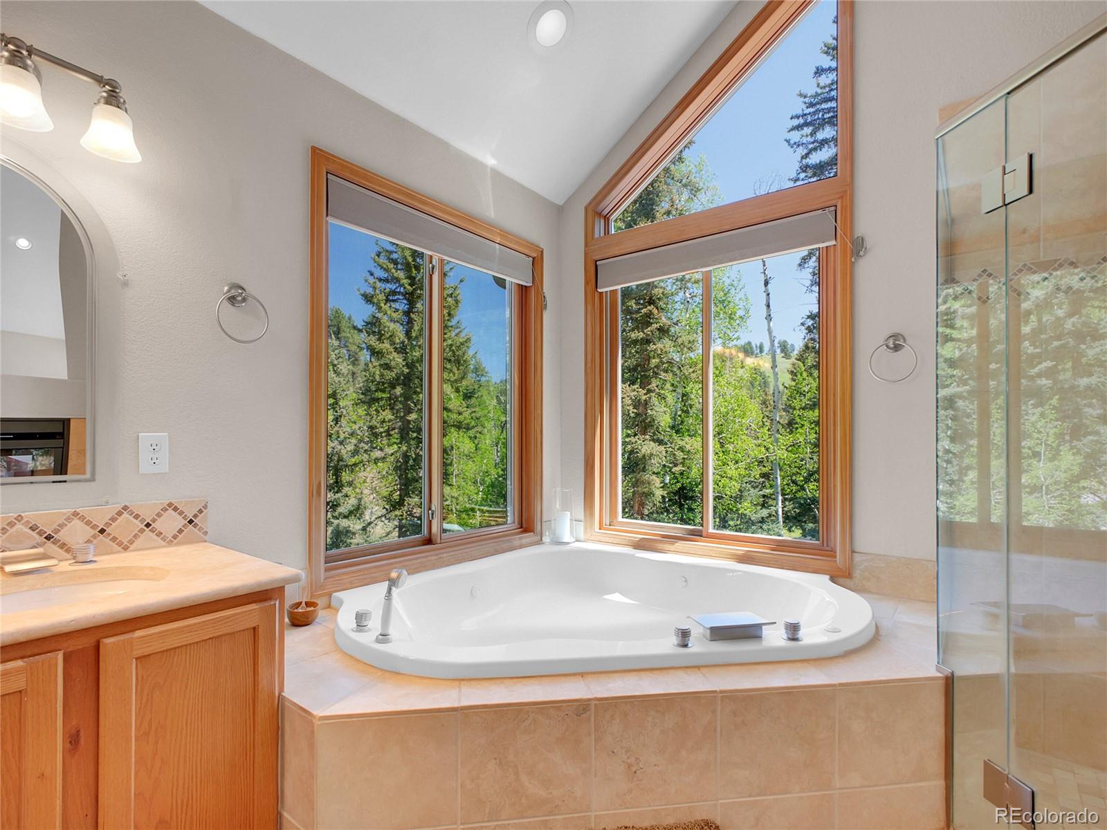 11768 Black Hawk Drive Conifer CO 80433