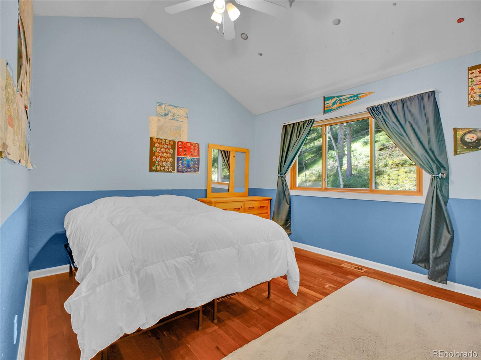 11768 Black Hawk Drive Conifer CO 80433