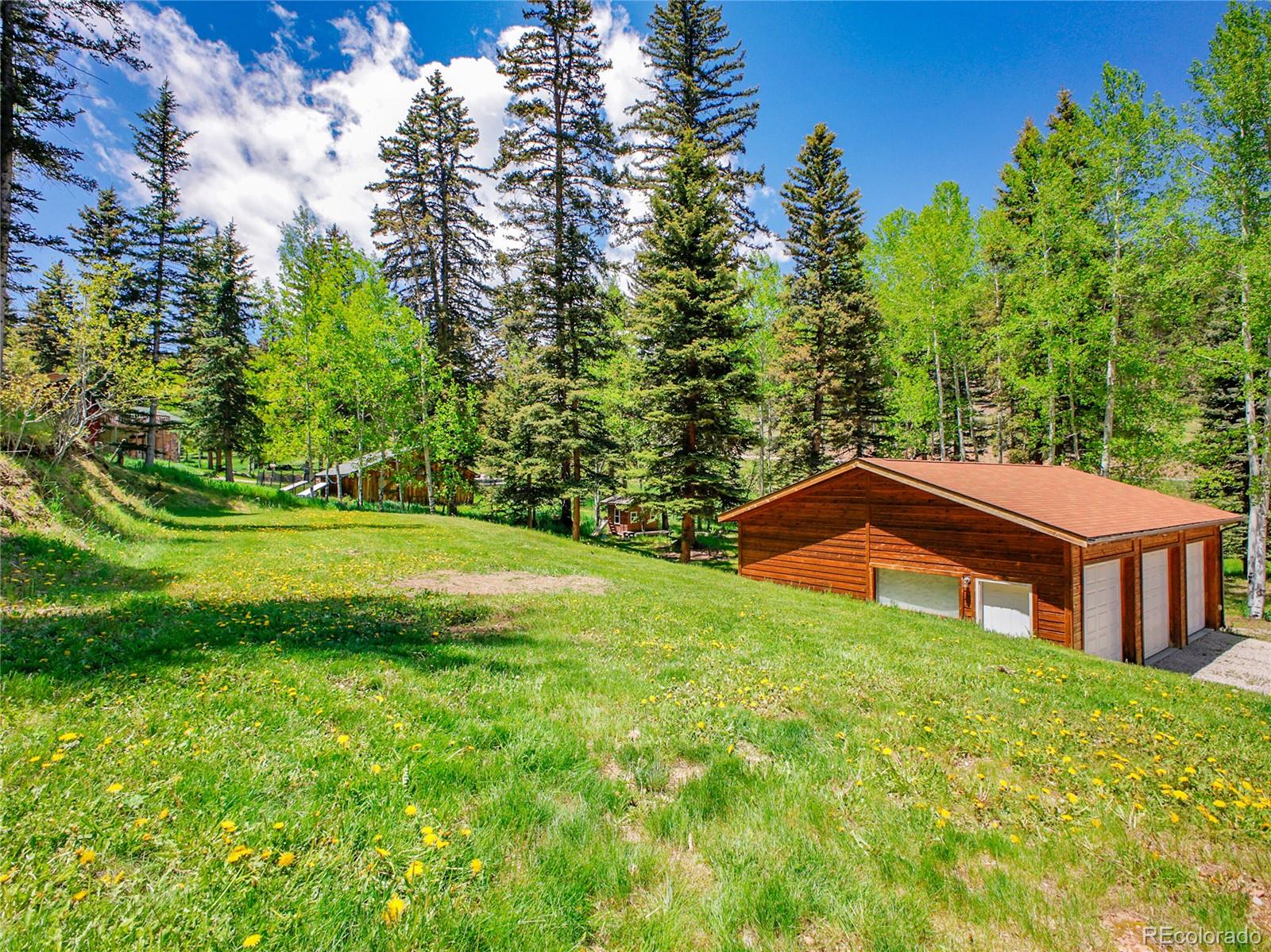 11768 Black Hawk Drive Conifer CO 80433