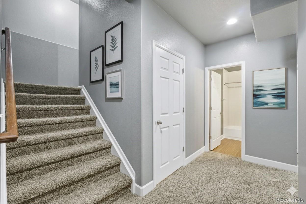 8148 Grady Circle Castle Rock CO 80108