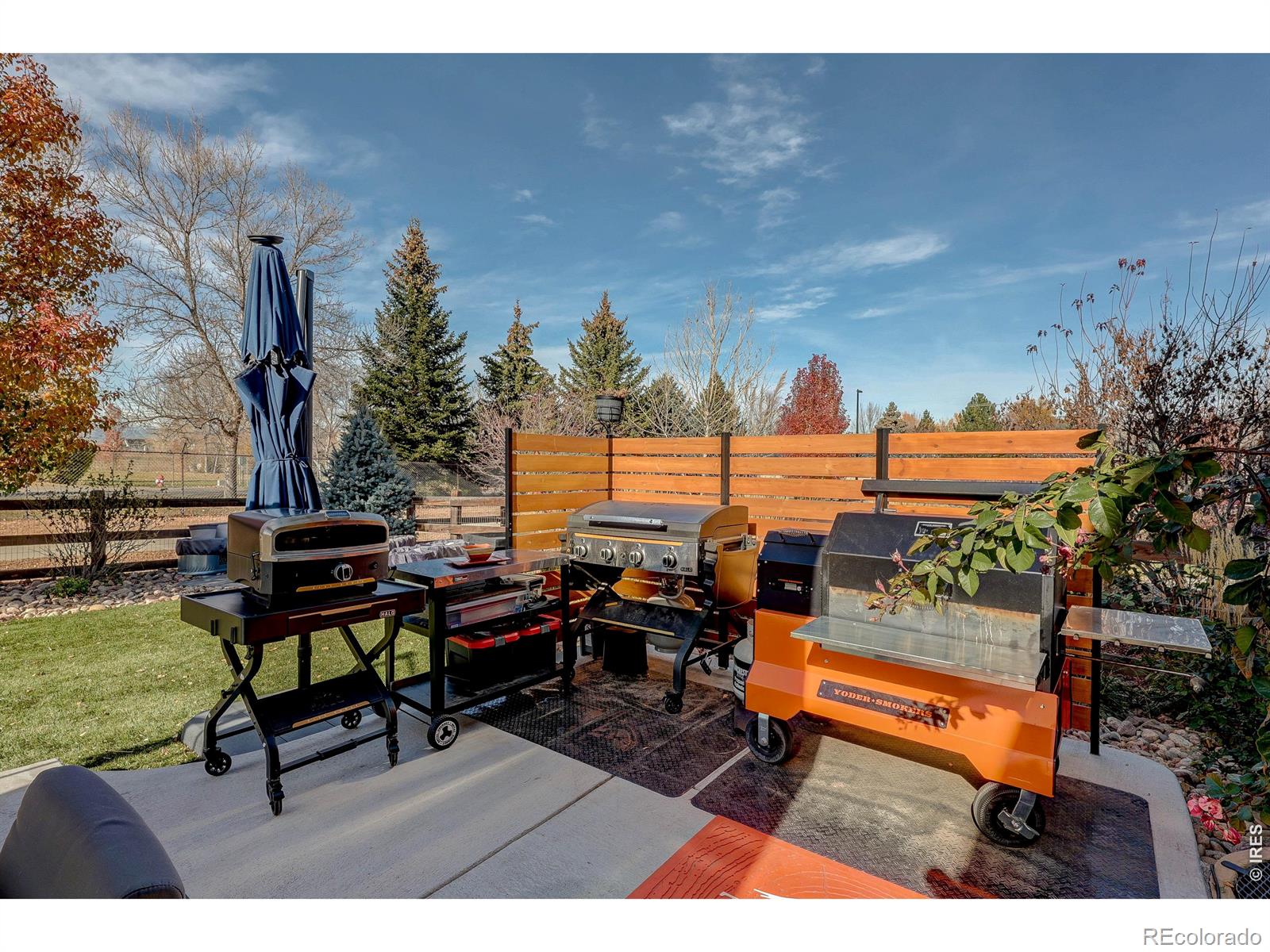 1032 Marfell Street Erie CO 80516