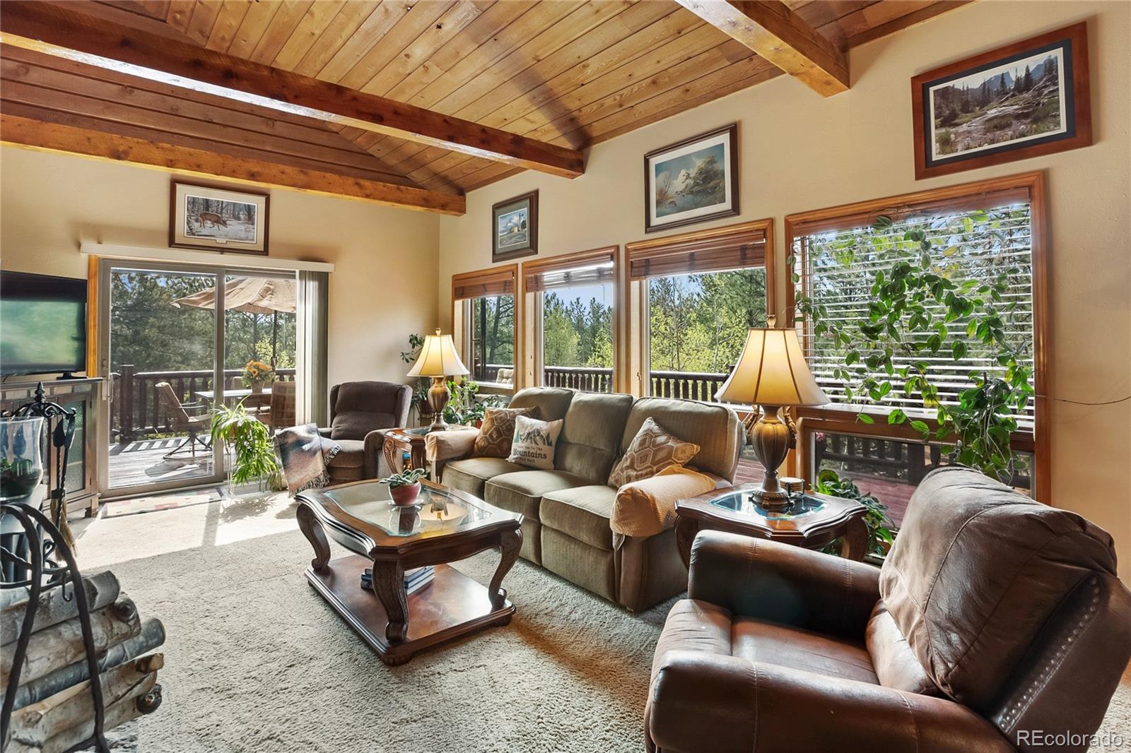 381 Saddleback Creek Drive Florissant CO 80816
