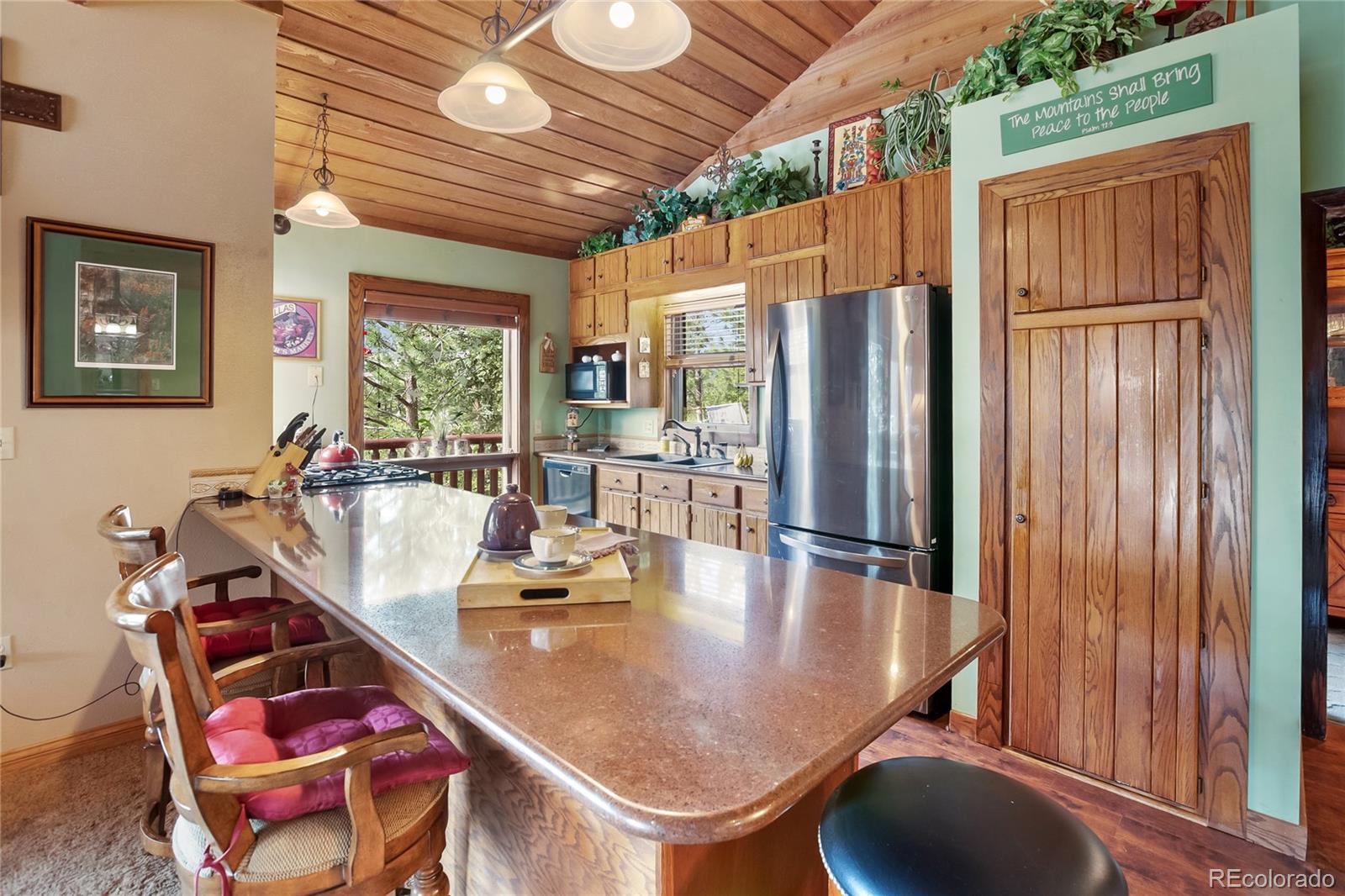 381 Saddleback Creek Drive Florissant CO 80816