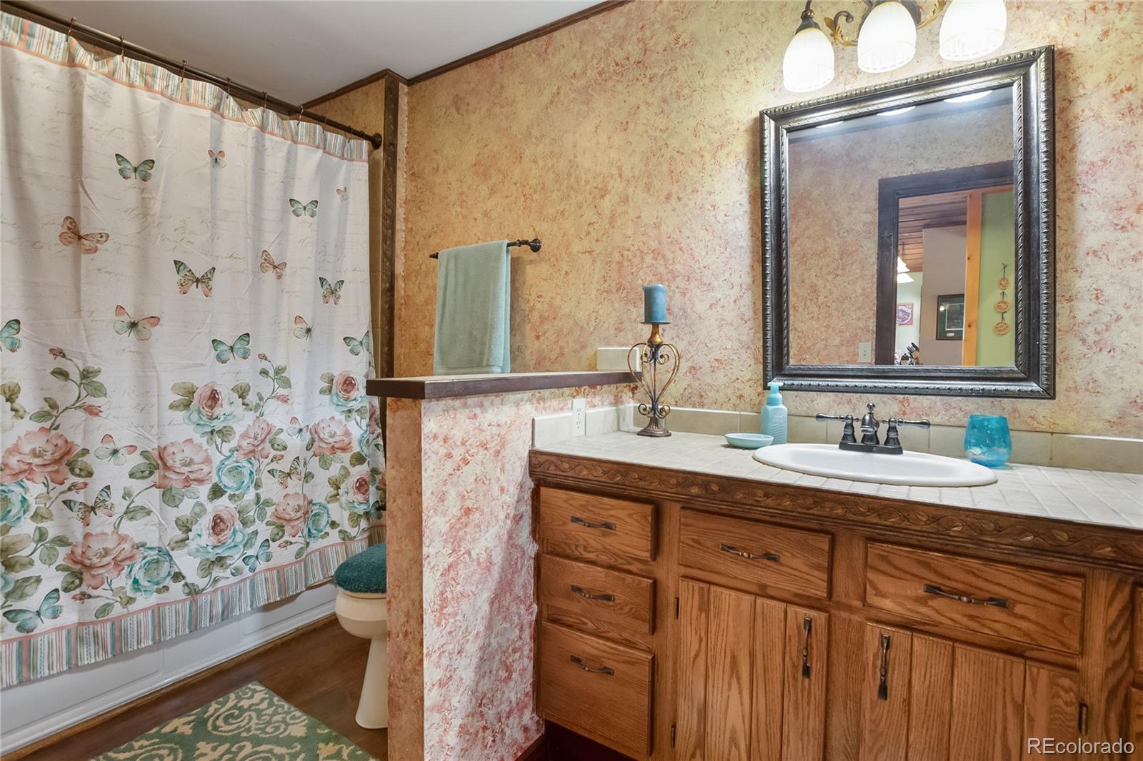 381 Saddleback Creek Drive Florissant CO 80816