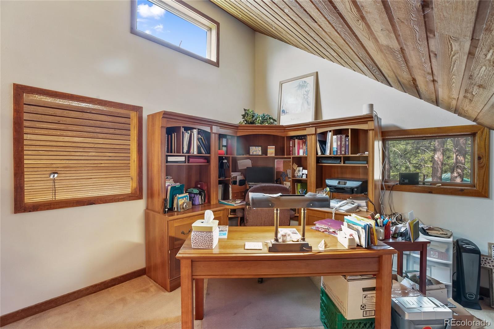 381 Saddleback Creek Drive Florissant CO 80816