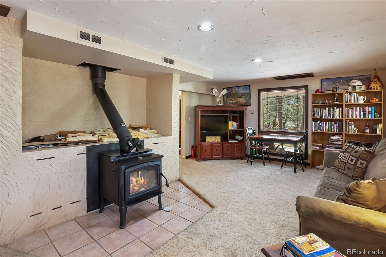 381 Saddleback Creek Drive Florissant CO 80816