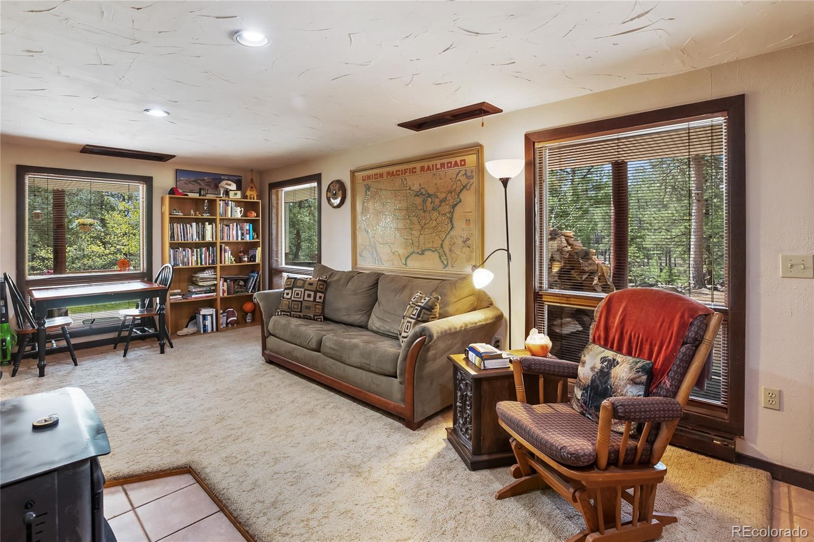 381 Saddleback Creek Drive Florissant CO 80816
