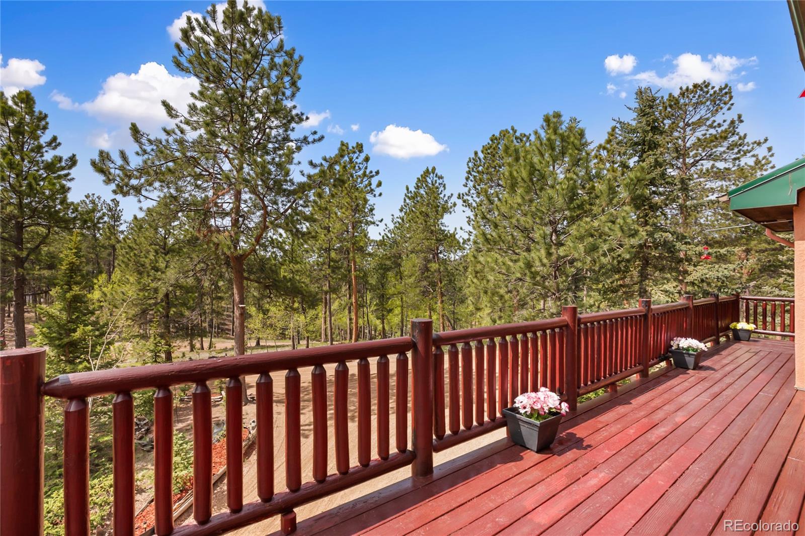 381 Saddleback Creek Drive Florissant CO 80816