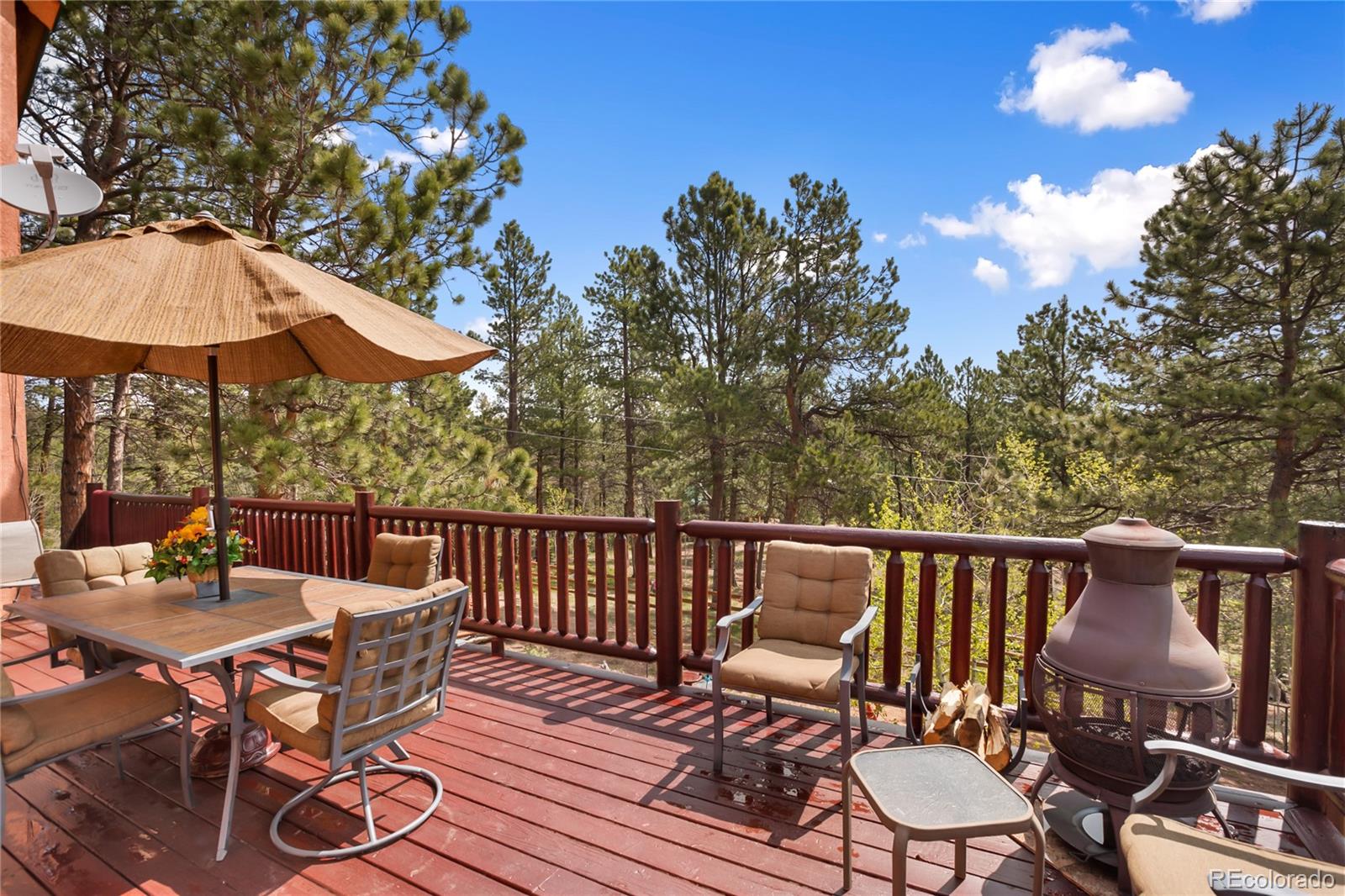 381 Saddleback Creek Drive Florissant CO 80816
