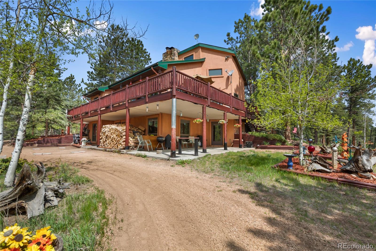 381 Saddleback Creek Drive Florissant CO 80816