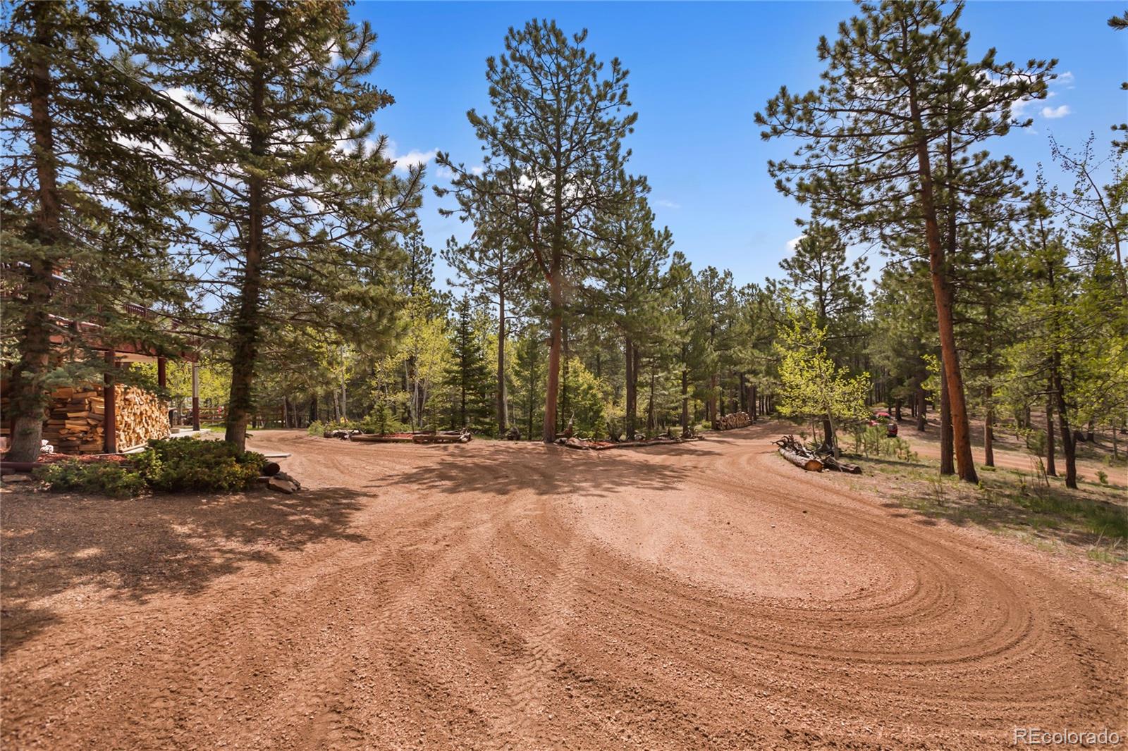 381 Saddleback Creek Drive Florissant CO 80816