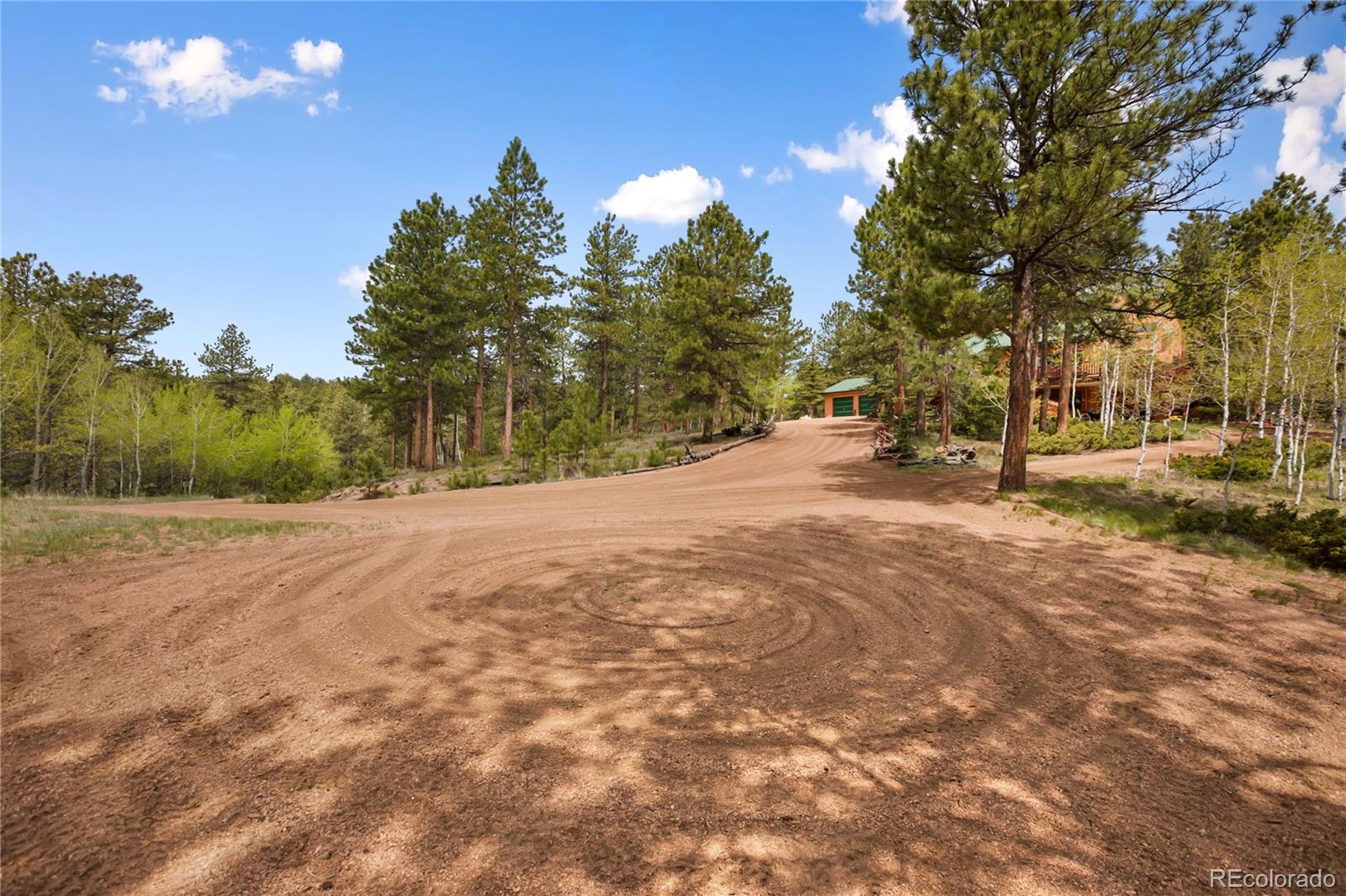 381 Saddleback Creek Drive Florissant CO 80816