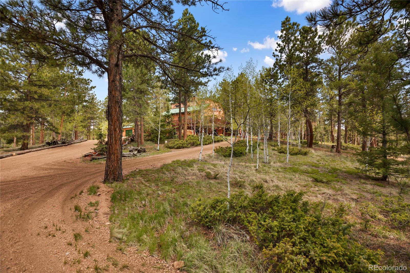 381 Saddleback Creek Drive Florissant CO 80816