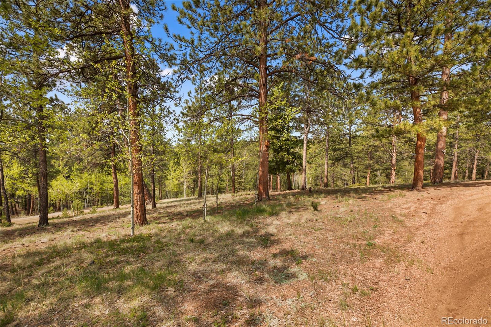 381 Saddleback Creek Drive Florissant CO 80816