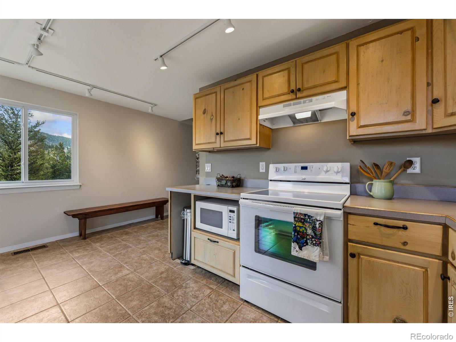 1637 Black Squirrel Drive Estes Park CO 80517