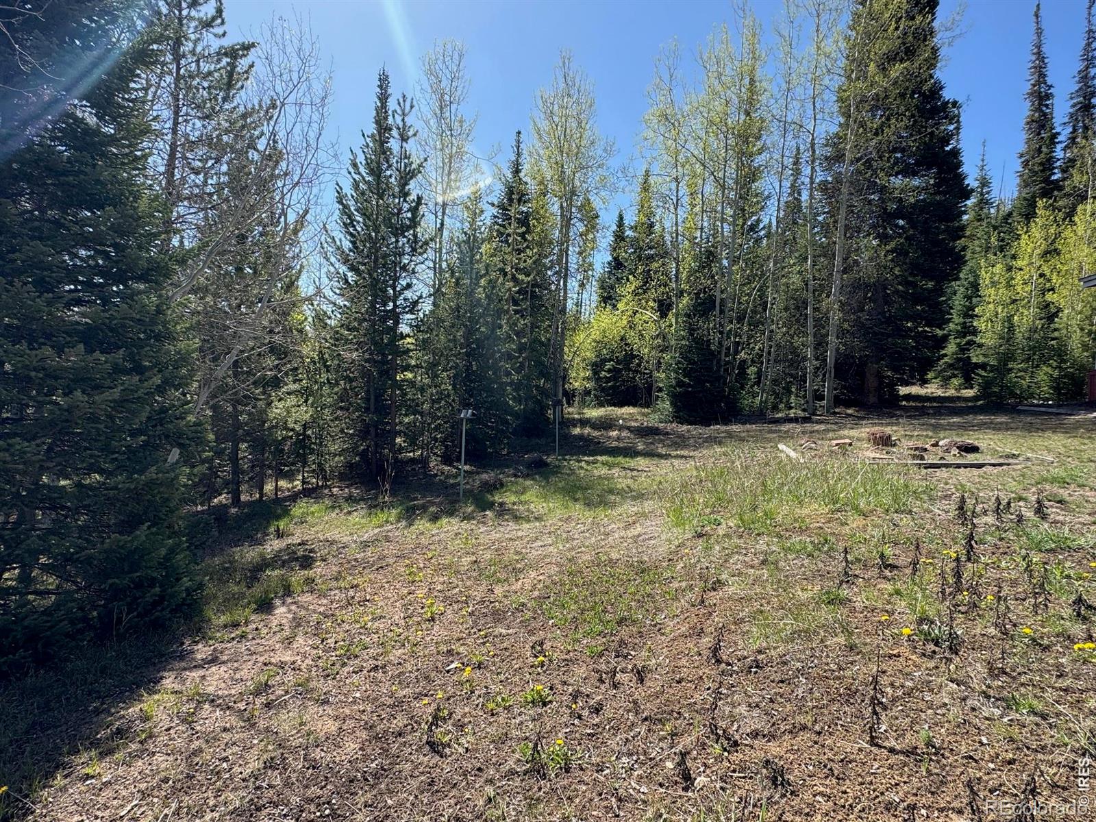 44 Alpine Lane Walden CO 80480