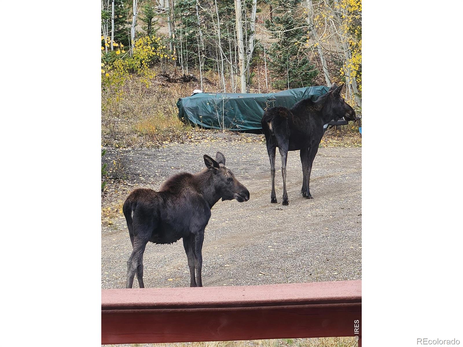 44 Alpine Lane Walden CO 80480
